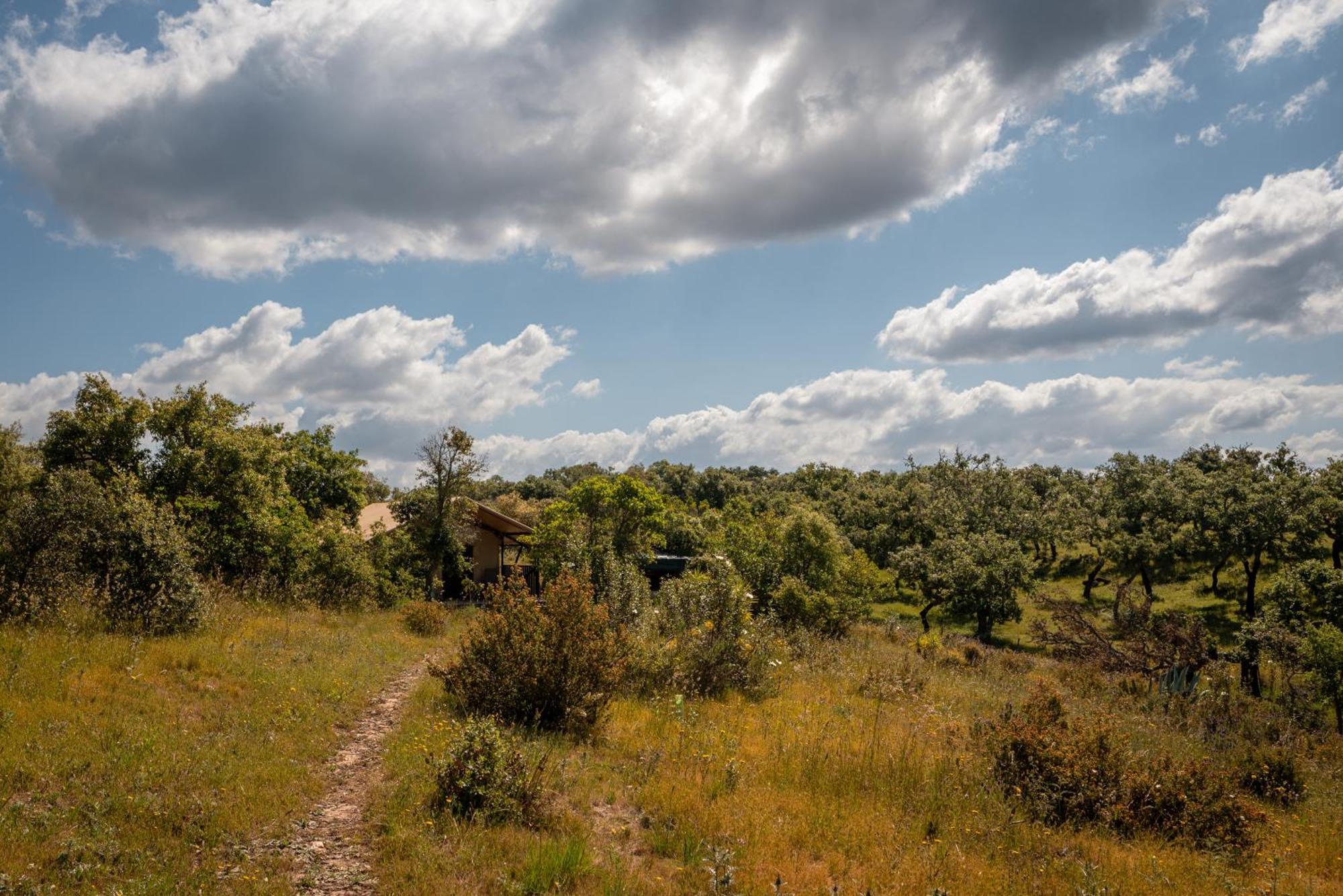 Eco Glamping Portugal Nature Lodge Sao Luis Exterior photo